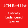 IUCN